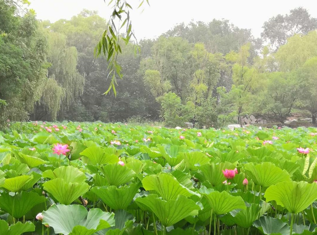 这5大专业硕士毕业薪资高！有你想报考的吗？