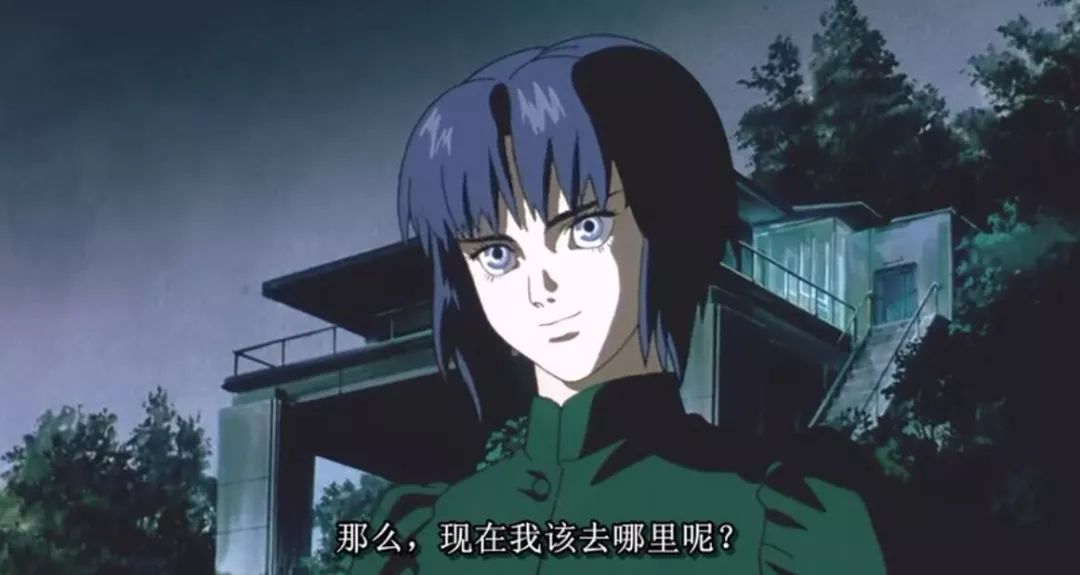 豆瓣9.0，24年后回看《攻壳机动队》，我终于明白它的内涵和不足