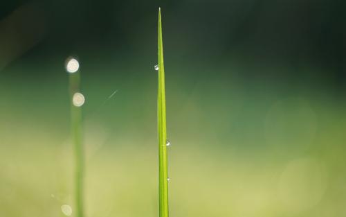 鬼谷子：处事迟而不急，大器晚成；知机决而能藏，高才早发！