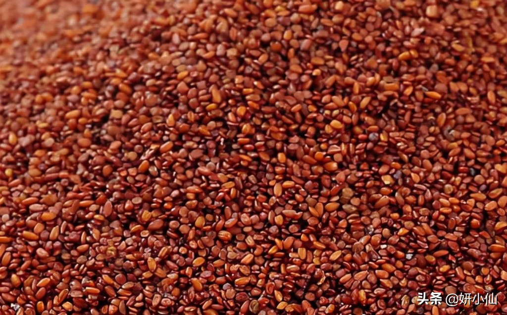 敷完海藻面膜还需要用洗面奶吗 纯牛奶泡海藻面膜禁忌