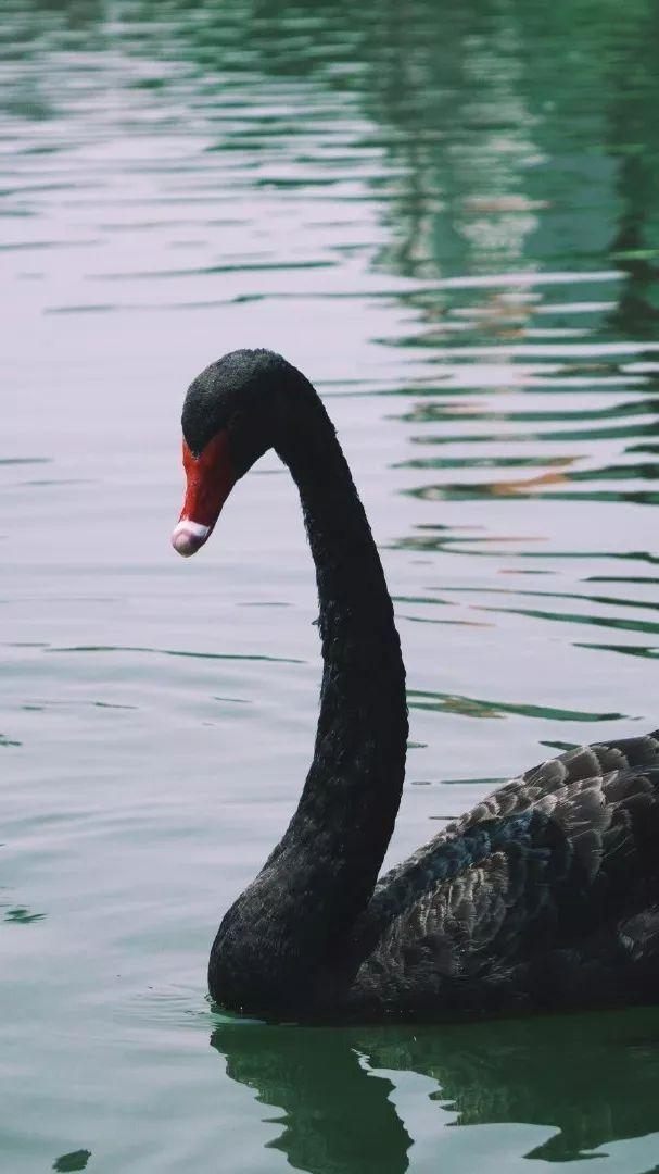 中国这10所大学壁纸第二期！厦门大学、中山大学等在列