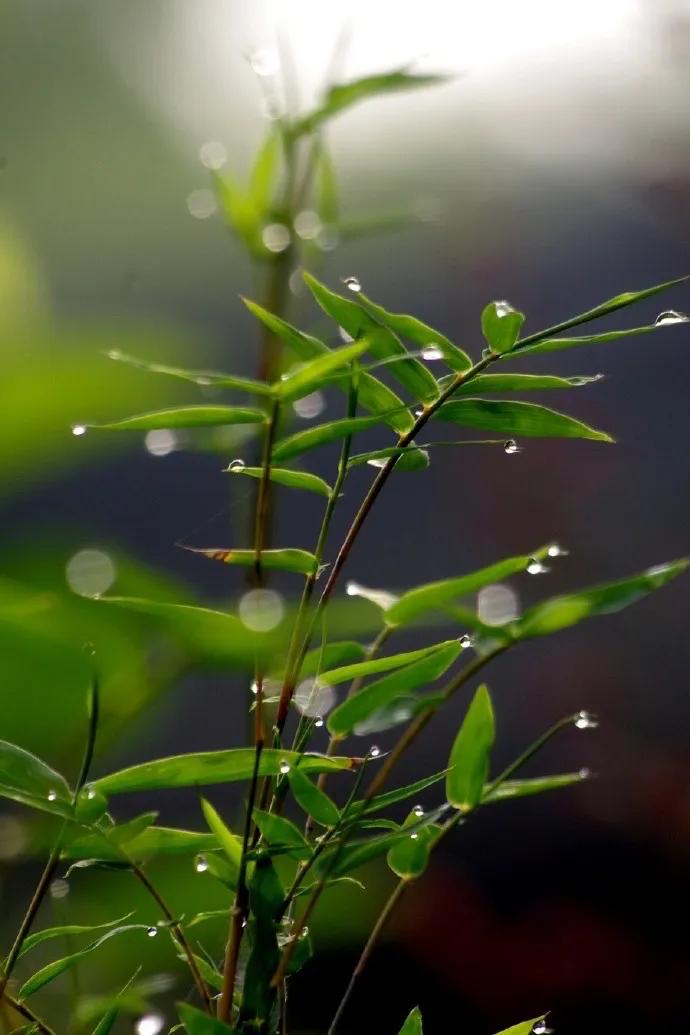 又是烦躁的下雨天