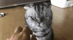 2020版最新法官、检察官表情大全！哈哈哈