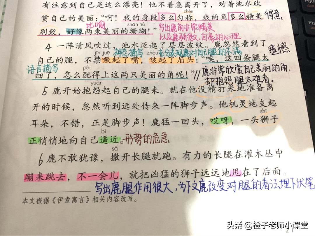 三年级语文《鹿角和鹿腿》，看老师备课笔记，感受鹿的心情变化