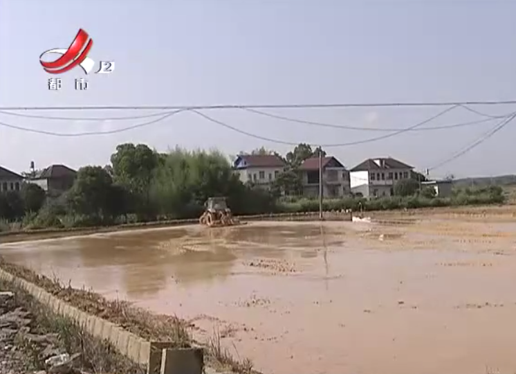 贛州信豐：購買農(nóng)機(jī)一年多，補(bǔ)助款為何還不發(fā)放？