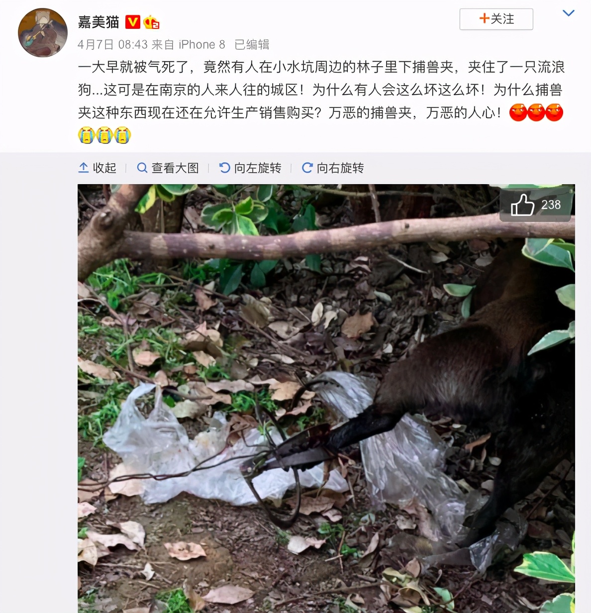 一个小水坑的罗曼蒂克消亡史