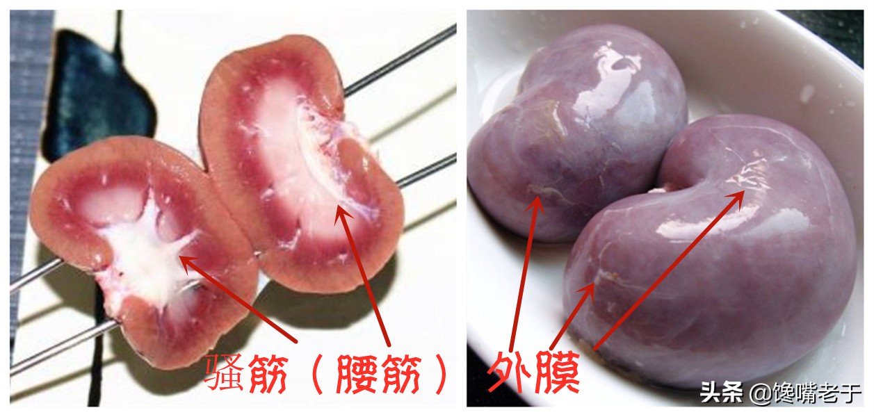 羊身上"最贵"的一个部位,不论斤卖按个卖,但很多人吃不下