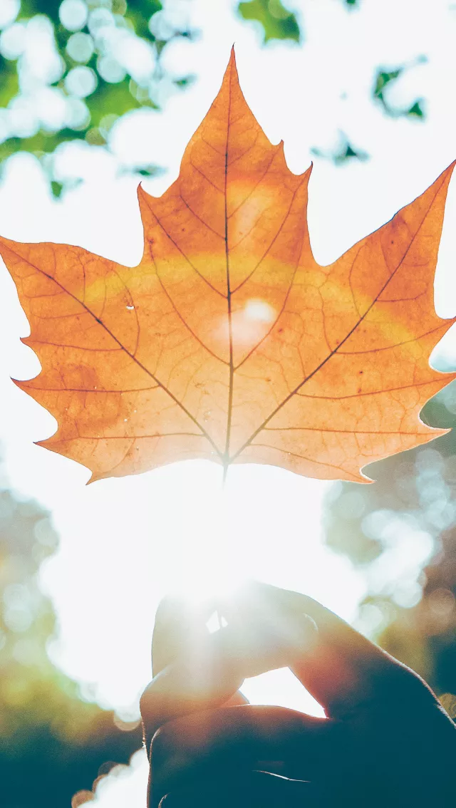 中国这10所大学壁纸第二期！厦门大学、中山大学等在列