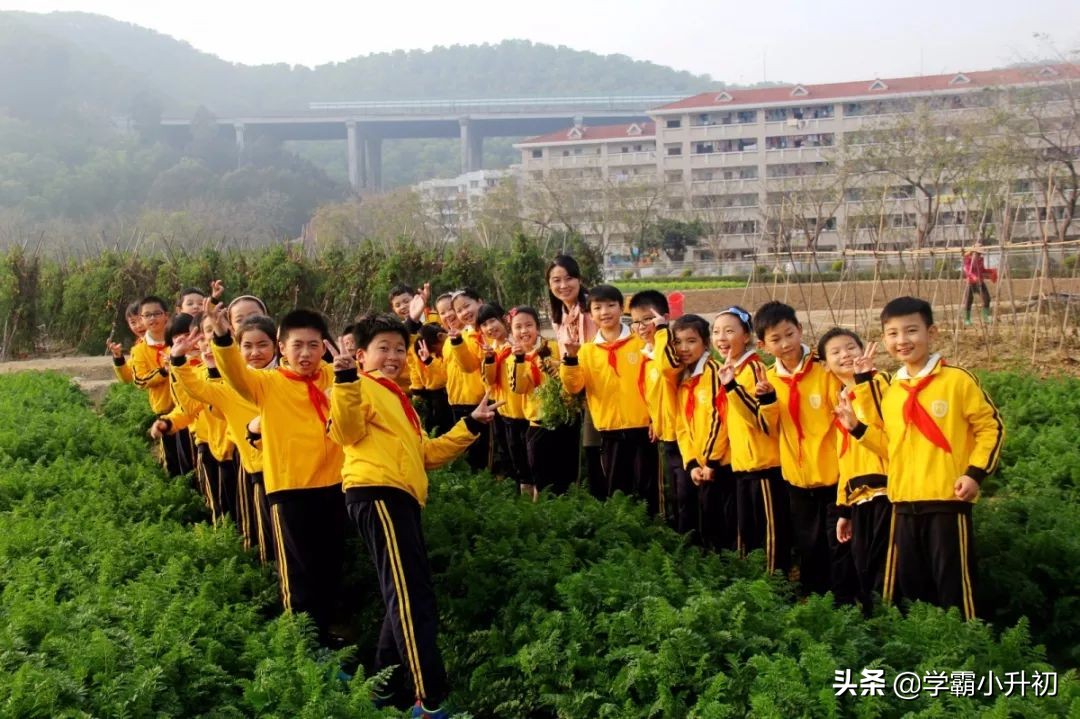虎门外国语学校2019年小学一年级招生通告