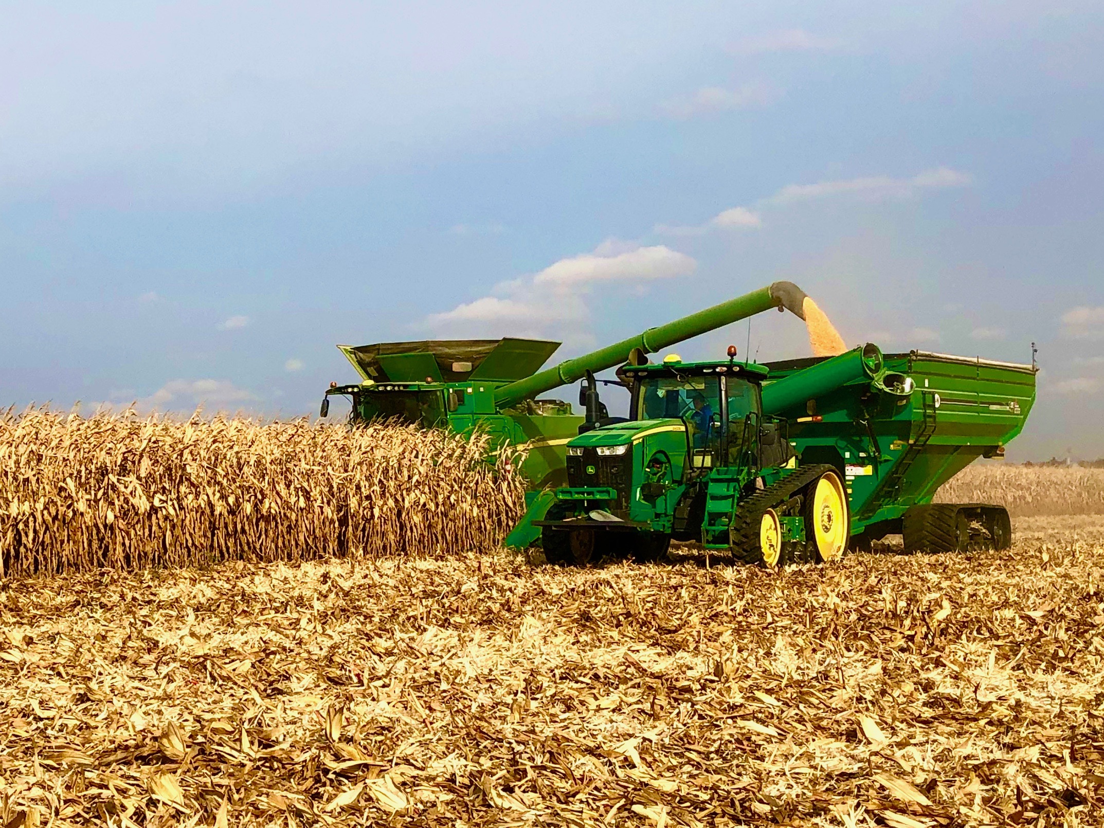 美国玉米的亩产量有多高?和中国相比,有多大差距?