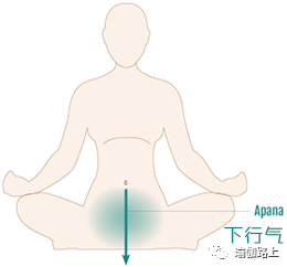瑜伽里說的 5 種生命之氣，不僅僅是呼吸控製法（Pranayama）