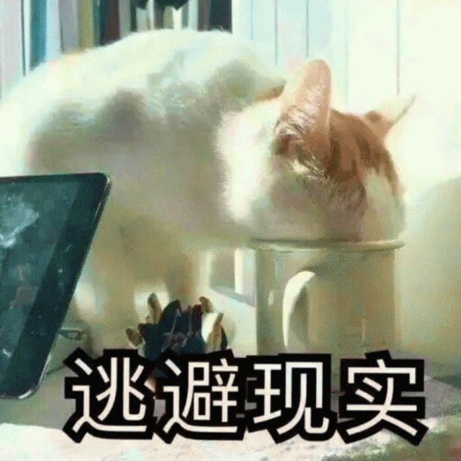 病毒顽强，致死率高达90%，让猫和主人措手不及的猫瘟如何预防？