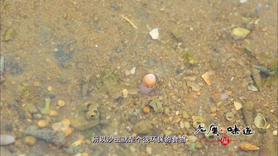 广东湛江，一种海鲜常让游客不敢动筷子，却有“天然味精”的美誉