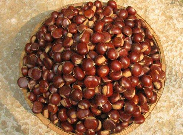 保存板栗，有人直接急冻，有人煮熟急冻，教你正确做法，特别新鲜