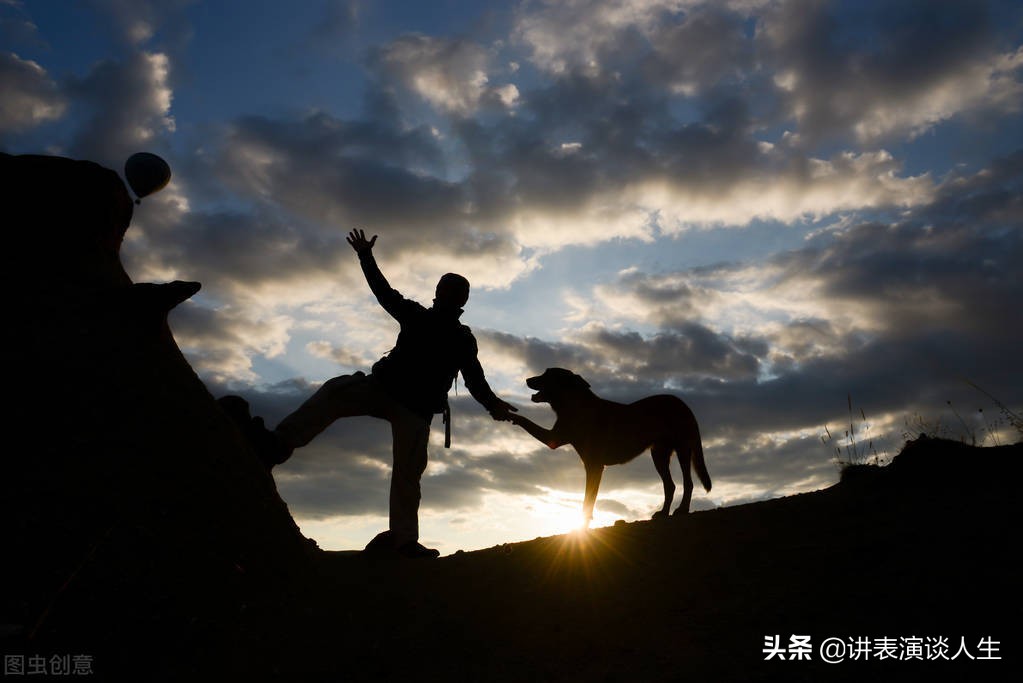 总结抖音里那些深入人心的高赞大实话！听点儿实话胜读三年书