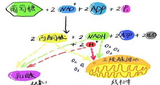  春夏交替，正值感冒高发期！送你一份宝宝感冒期营养指南