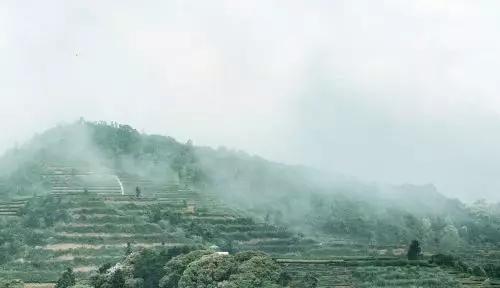 获德国红点奖的煮茶神器，三合一设计，煮倒一体，让你爱上喝茶！