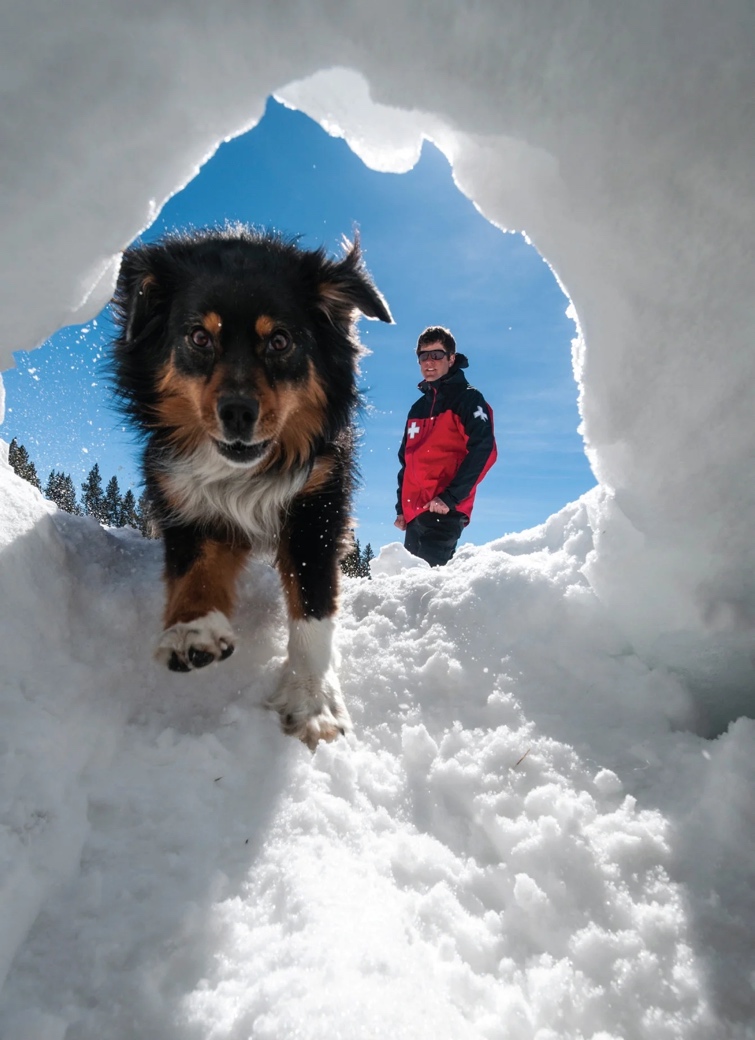 这种上古与人同葬的动物，还能帮你减肥、长寿？