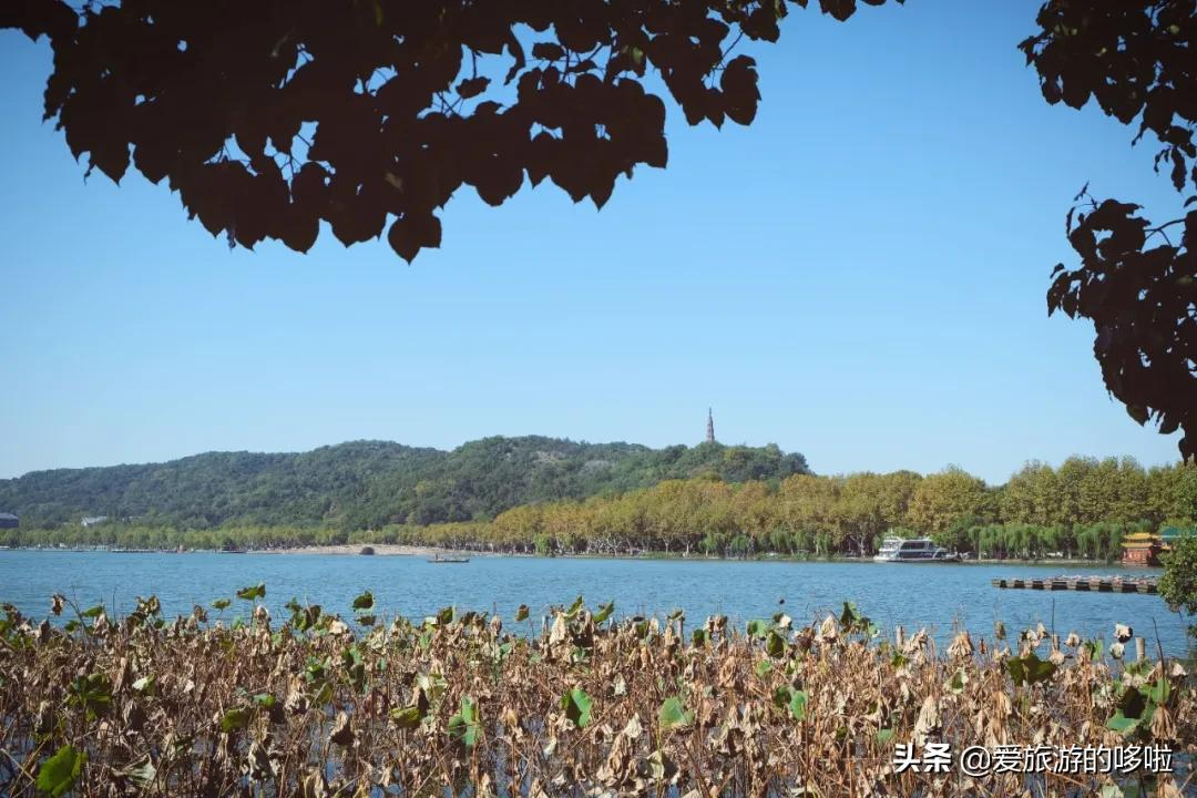 6块钱,包船游西湖