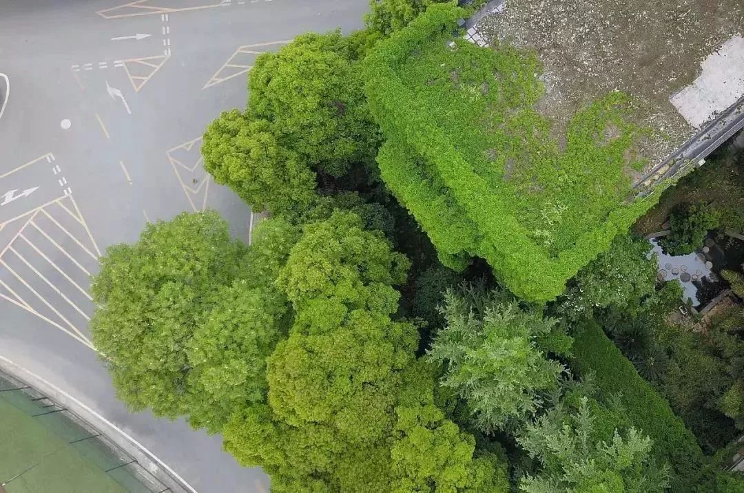 我国10大最美大学图书馆，各有特色令人神往，多图预警请欣赏