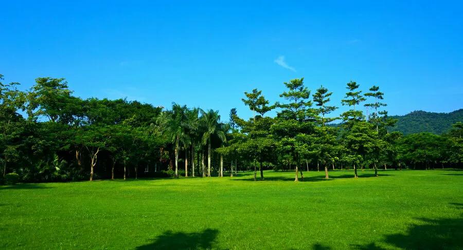 深圳地鐵5號線沿線11個免費景點,看海,爬山,花園總有個適合你