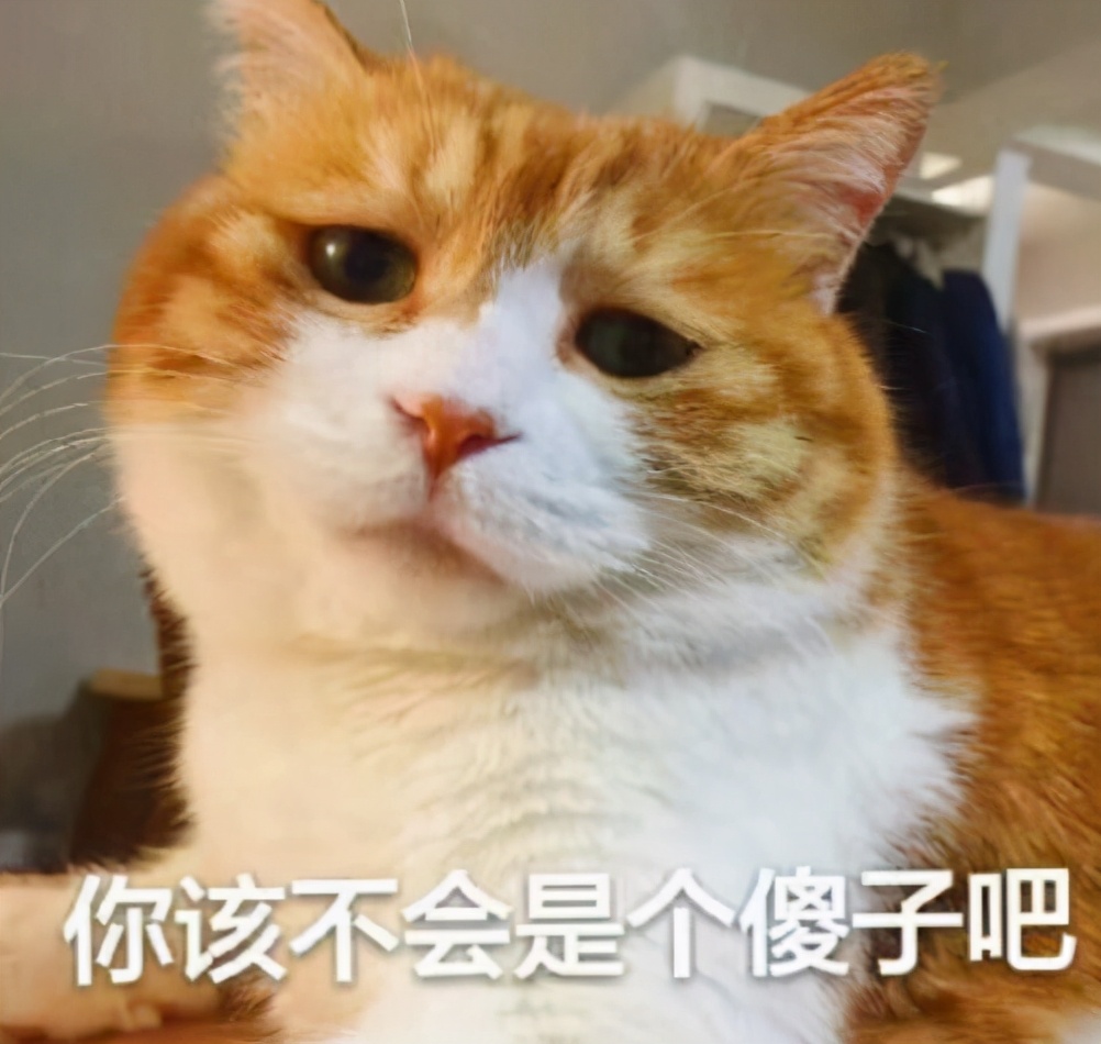 “蠢猫”的表现，你家猫咪占了几条？