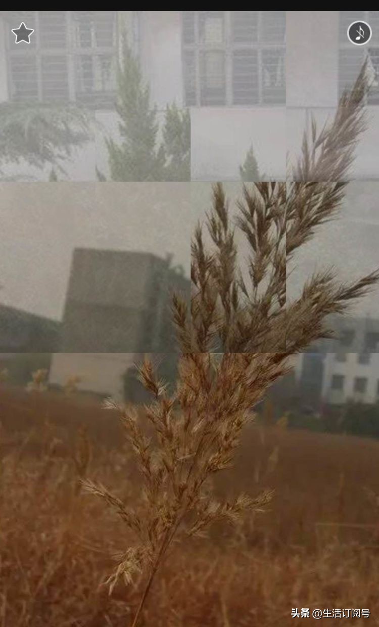 许昌的老师看过来，回忆回忆咱们的许昌师范学校