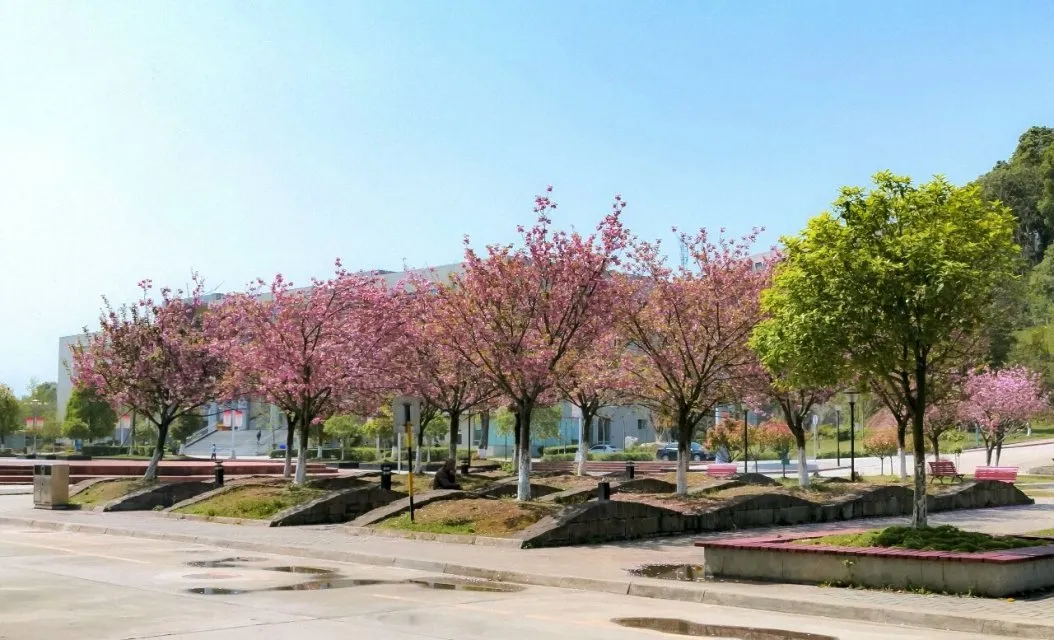 绵阳的老牌专科大学，拥有全国诸多荣誉，今年还要进行高职单招