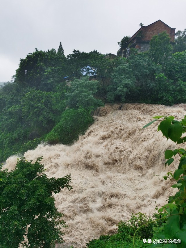 在隆昌，我幸运地遇见鹅洞飞雪