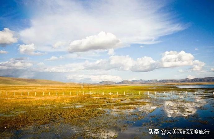 甘南风景里的情诗：任你雪月风花，我只愿逐草天涯