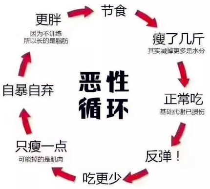 起底「小红书减肥神器」那些不为人知的秘密,我们的智商在被侮辱