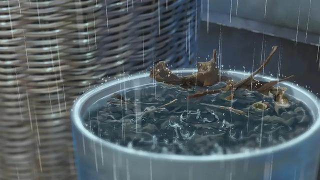 《言叶之庭》：12岁高中生和女老师的爱情故事，细数文中5大彩蛋