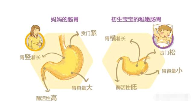 宝宝吐奶、打嗝、放屁正常吗？会影响哭闹时长，妈妈早知道早轻松