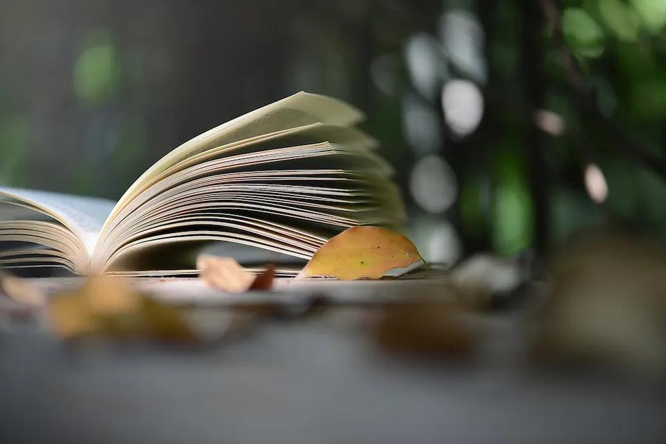 有关生活态度美好的句子