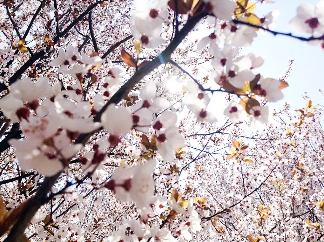 纵使时光流逝 我已不在你的身旁 我的母校市三中