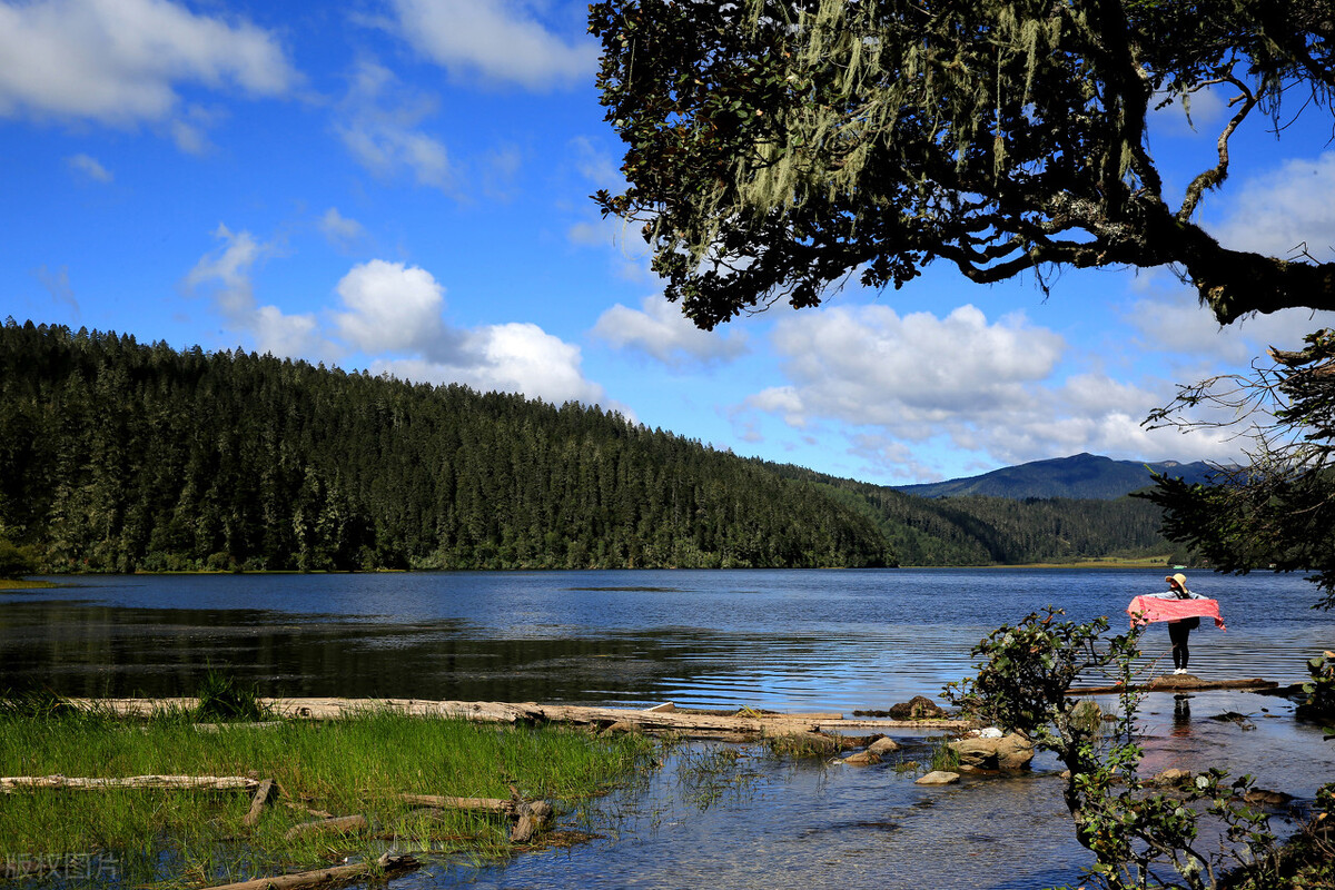 南湖秋水夜无烟下句（王昌）
