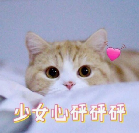 在没有拥有自己的房子之前从来都没有想过什么“断舍离”，看着自己所在的出租屋中空空荡荡~