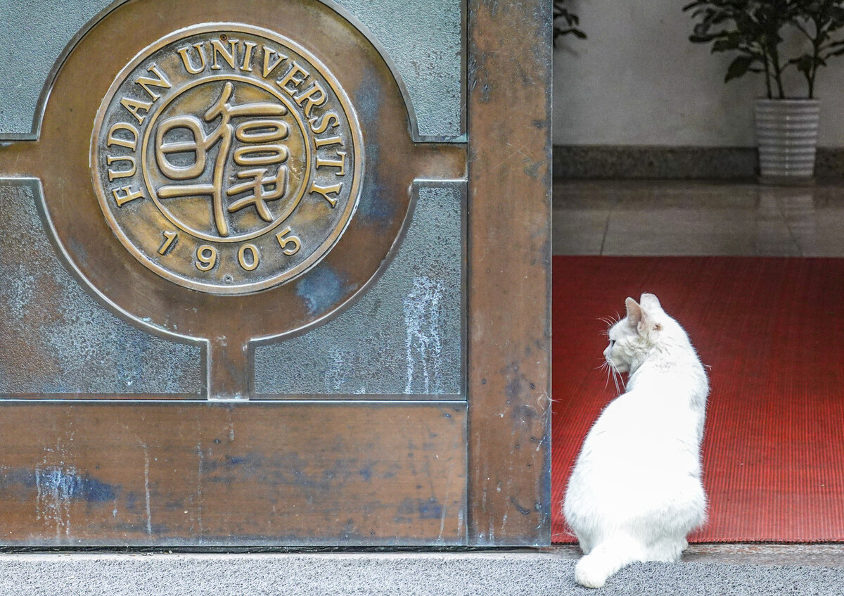 复旦大学官方回应，五大谣言终结，三个问题存疑