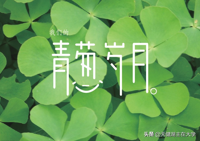 大学宿舍里的温馨友情：同窗岁月中的相互扶持与成长