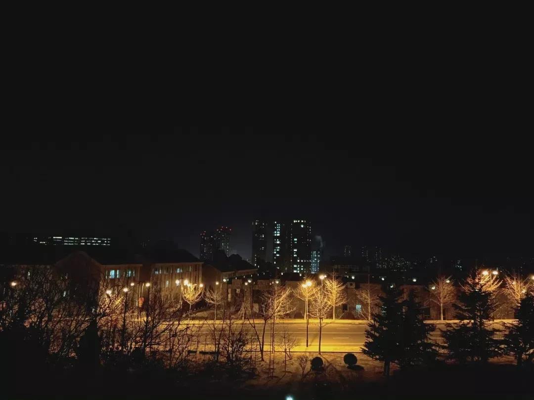 辽宁省民办大学(二)大连东软信息学院