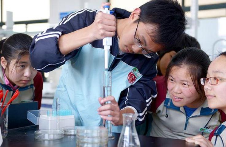 首次八省新高考，部分老师或面临失业危机，“这一学科”很受伤