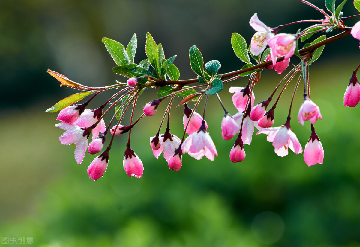 这辈子最幸运的事就是遇见你，在不在一起，我都一样爱你