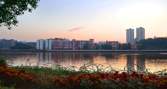 广州大学专科（高职高考必看）