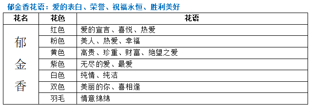 不灭忍的花语和寓意（详解不灭忍花语代表的含义）