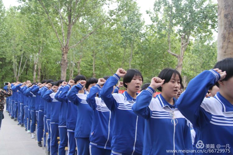 年年蟾宫折桂，岁岁铸就辉煌——热烈庆祝高邑一中2020年高考再创新高