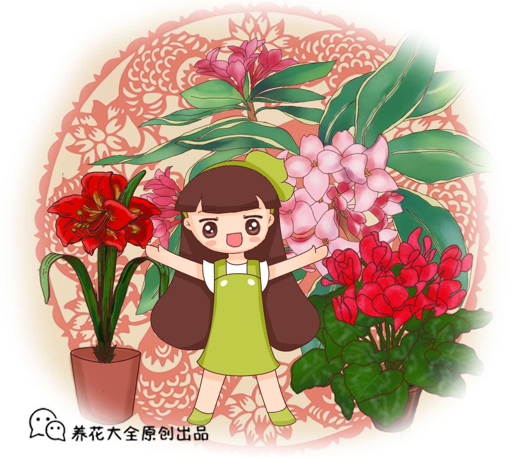 春节期间养富贵籽,做好这5点,富贵又吉祥