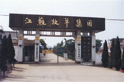 江苏人的骄傲，看这些明星企业上榜中国制造冠军，江苏经济的基石