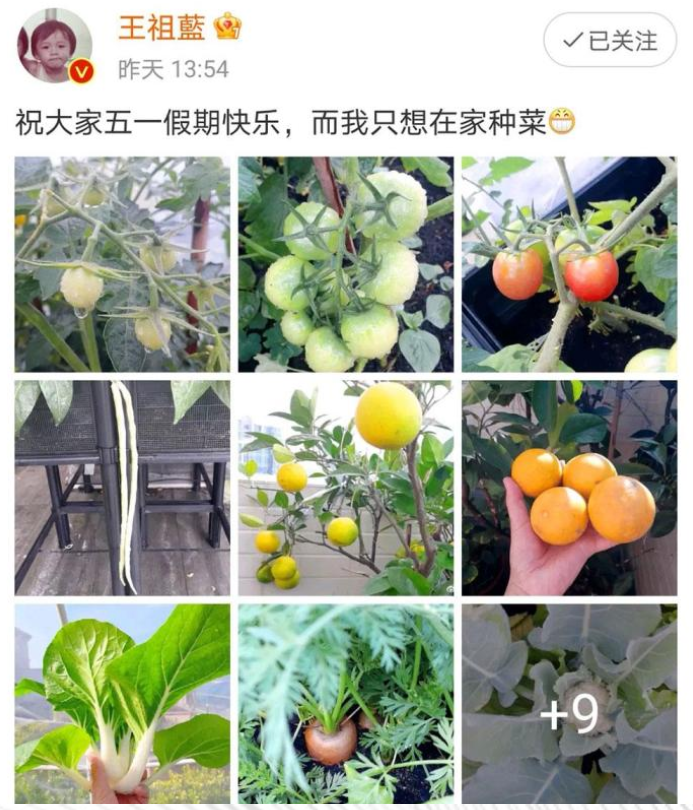 王祖蓝和妻女搞笑玩瞪眼，3岁大女儿可爱肉嘟嘟，有喜剧演员天赋
