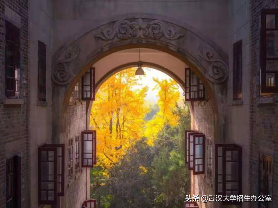 武汉大学：中国“最最最最最最最”令人向往的大学之一！