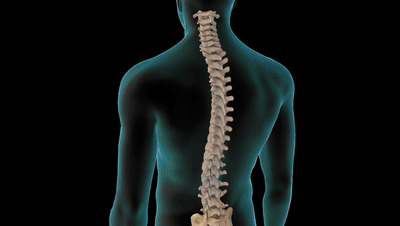 6个缓解腰椎间盘突出的伸展运动，避免7个训练，强壮腰椎不踩雷